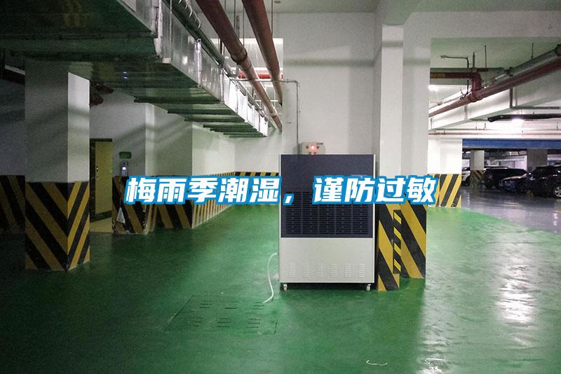 梅雨季潮濕，謹防過敏