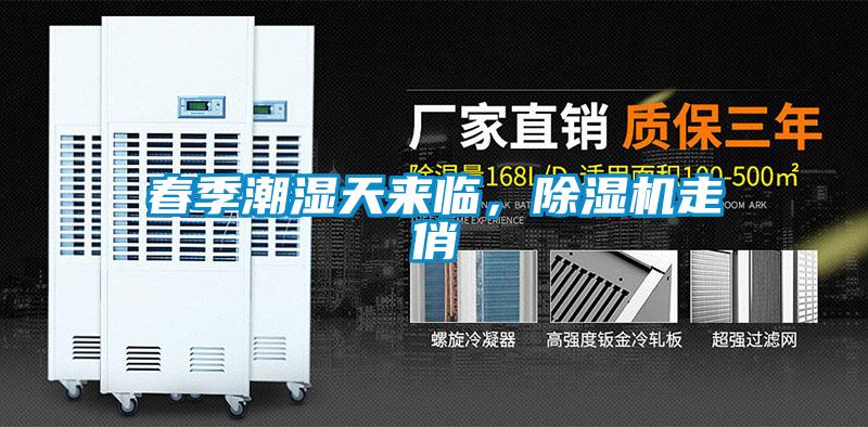 春季潮濕天來臨，除濕機走俏