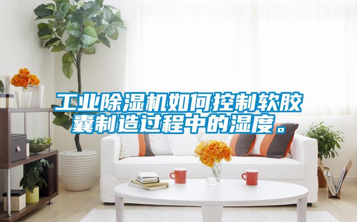 工業除濕機如何控制軟膠囊制造過程中的濕度。