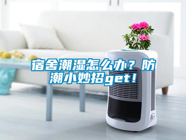 宿舍潮濕怎么辦？防潮小妙招get！