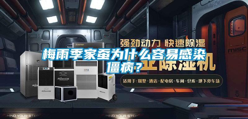 梅雨季家蠶為什么容易感染僵??？