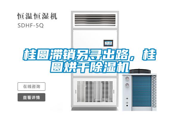 桂圓滯銷另尋出路，桂圓烘干除濕機