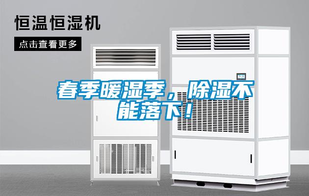 春季暖濕季，除濕不能落下！