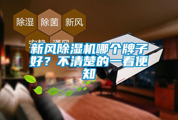新風除濕機哪個牌子好？不清楚的一看便知