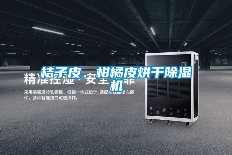 桔子皮、柑橘皮烘干除濕機