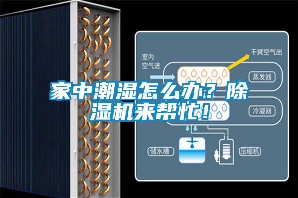 家中潮濕怎么辦？除濕機來幫忙！
