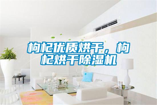 枸杞優質烘干，枸杞烘干除濕機
