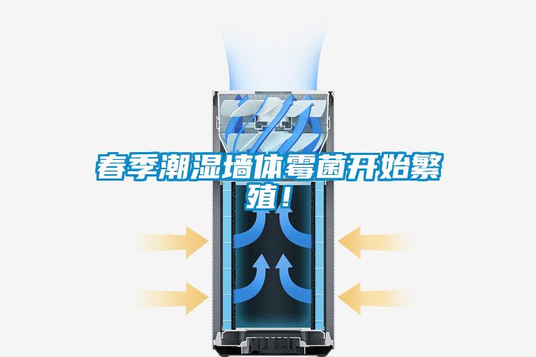 春季潮濕墻體霉菌開始繁殖！