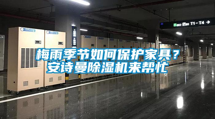 梅雨季節如何保護家具？安詩曼除濕機來幫忙