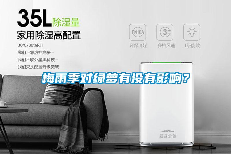 梅雨季對綠蘿有沒有影響？