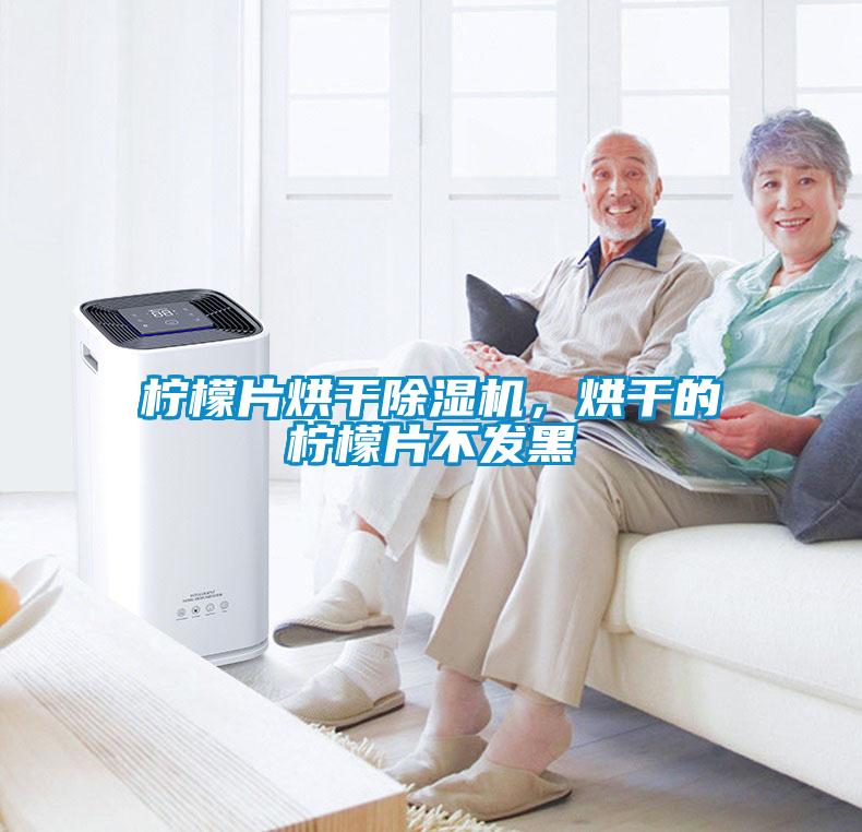 檸檬片烘干除濕機，烘干的檸檬片不發黑