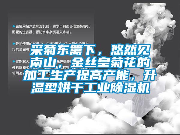 采菊東籬下，悠然見南山，金絲皇菊花的加工生產提高產能，升溫型烘干工業除濕機