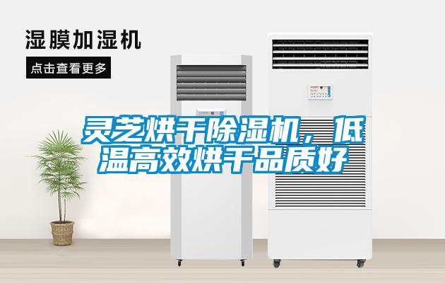 靈芝烘干除濕機，低溫高效烘干品質好