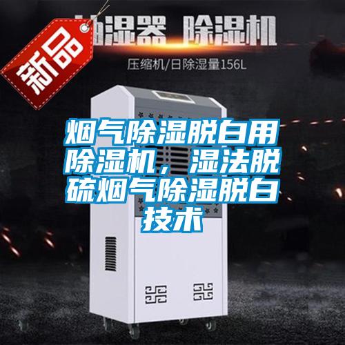 煙氣除濕脫白用除濕機，濕法脫硫煙氣除濕脫白技術