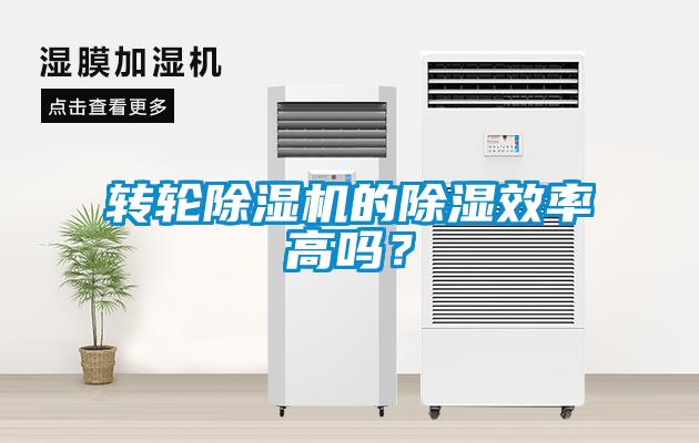 轉輪除濕機的除濕效率高嗎？
