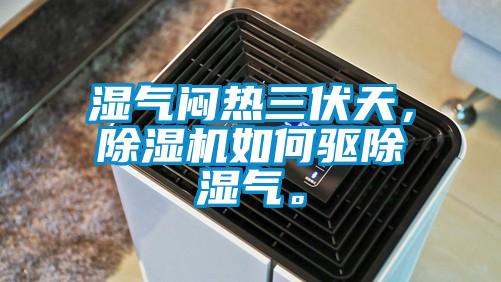 濕氣悶熱三伏天，除濕機如何驅除濕氣。