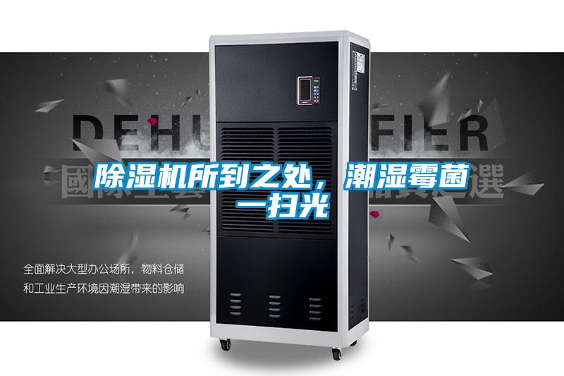除濕機所到之處，潮濕霉菌一掃光