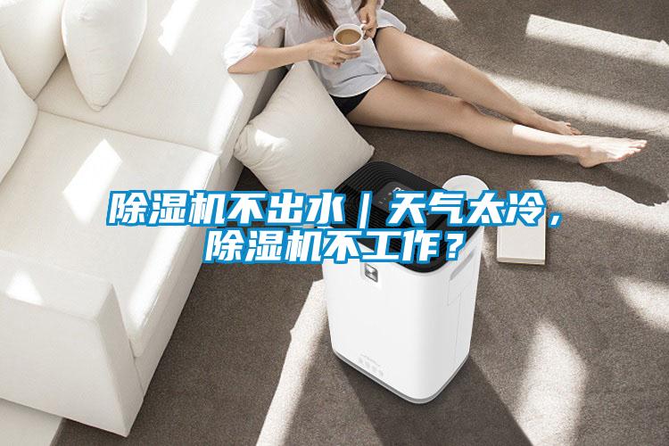 除濕機不出水｜天氣太冷，除濕機不工作？