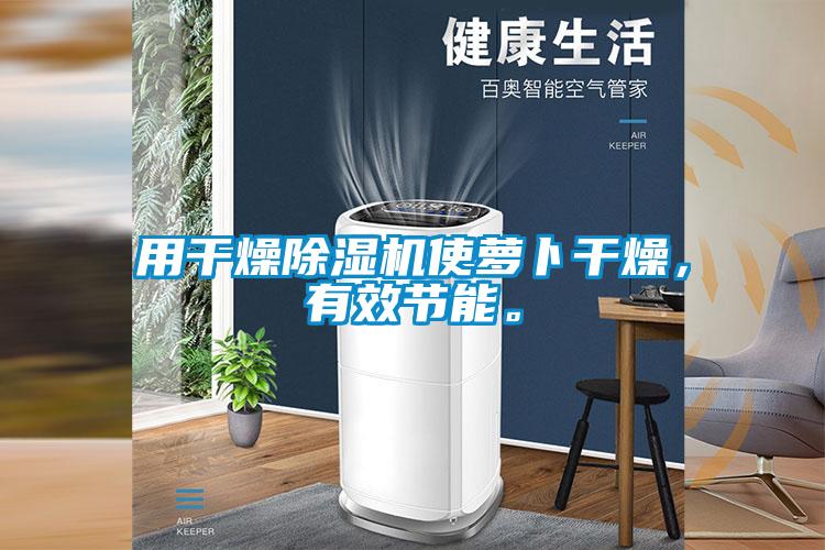 用干燥除濕機使蘿卜干燥，有效節能。
