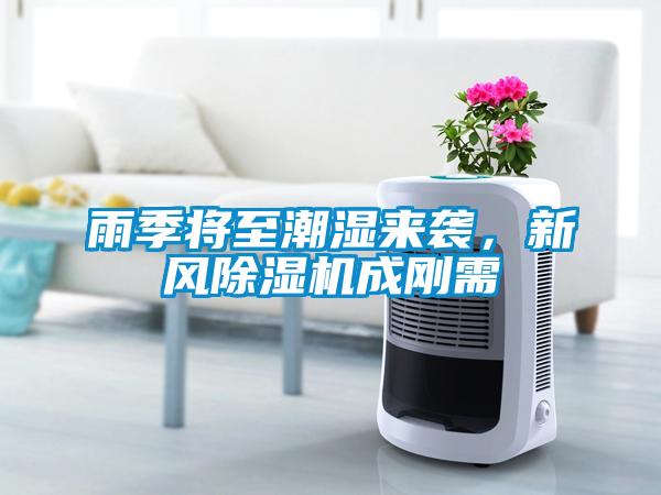 雨季將至潮濕來襲，新風除濕機成剛需