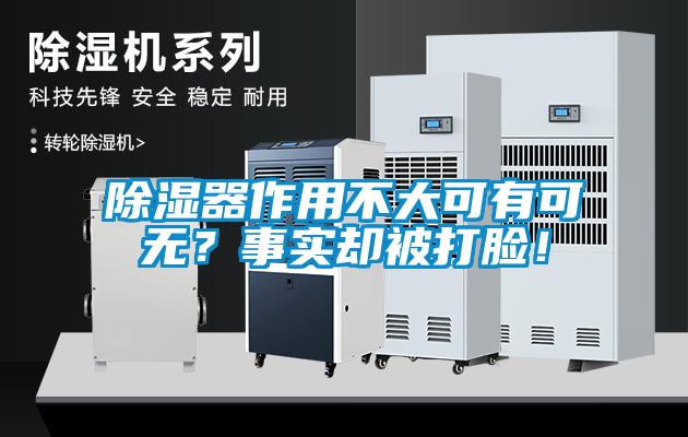 除濕器作用不大可有可無？事實卻被打臉！