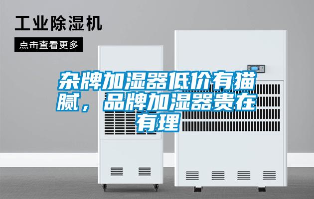 雜牌加濕器低價有貓膩，品牌加濕器貴在有理
