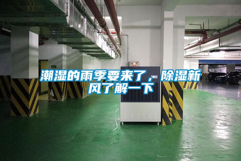 潮濕的雨季要來了，除濕新風了解一下