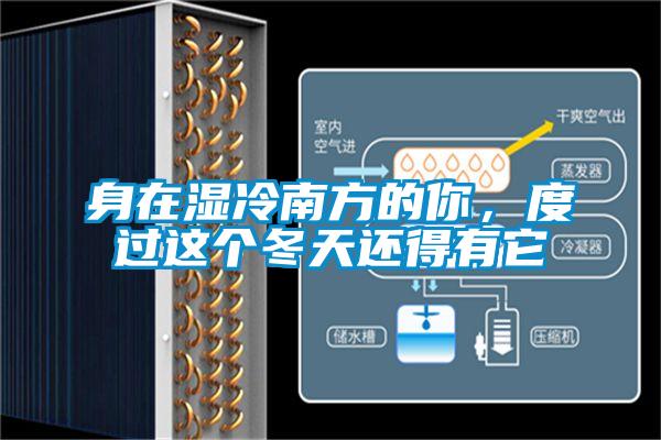 身在濕冷南方的你，度過這個冬天還得有它