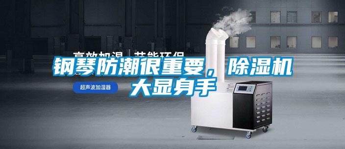 鋼琴防潮很重要，除濕機大顯身手