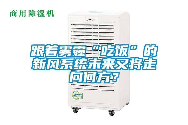 跟著霧霾“吃飯”的新風系統未來又將走向何方？