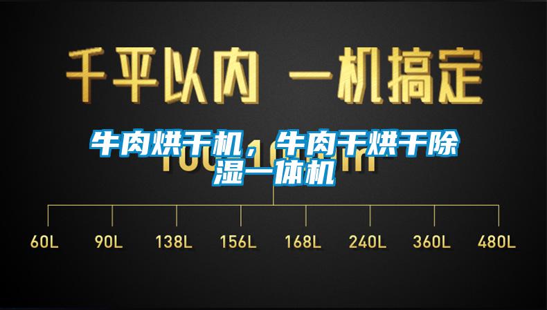 牛肉烘干機，牛肉干烘干除濕一體機