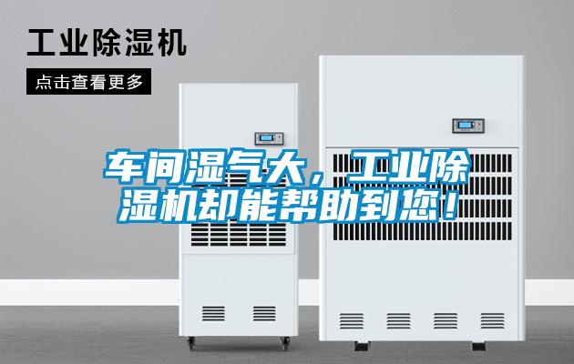 車間濕氣大，工業除濕機卻能幫助到您！