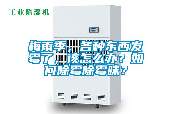 梅雨季，各種東西發霉了，該怎么辦？如何除霉除霉味？