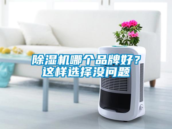 除濕機哪個品牌好？這樣選擇沒問題