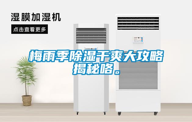 梅雨季除濕干爽大攻略揭秘咯。