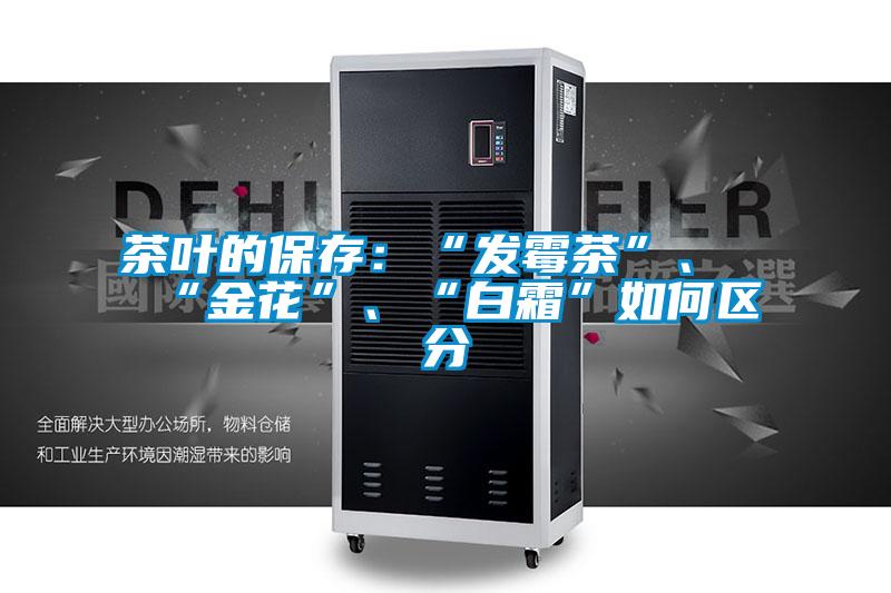 茶葉的保存：“發霉茶”、“金花”、“白霜”如何區分