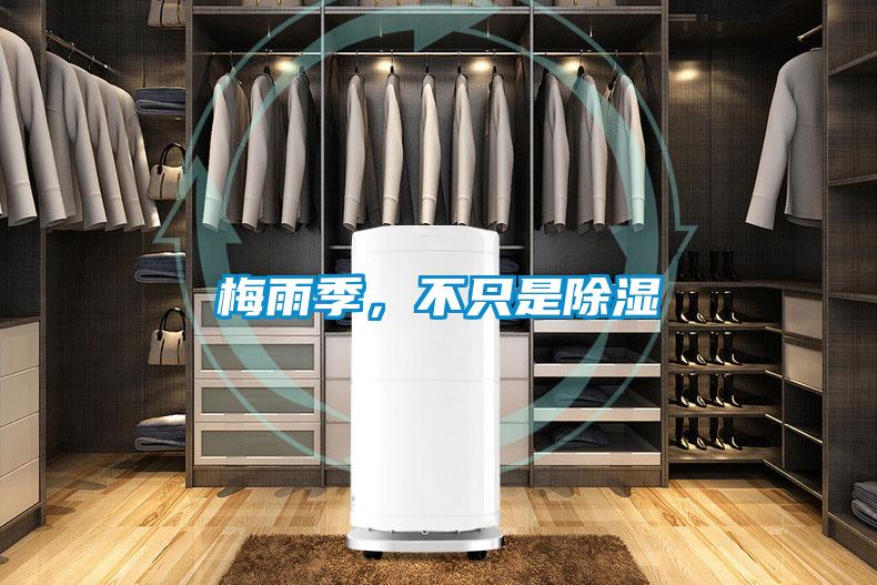 梅雨季，不只是除濕