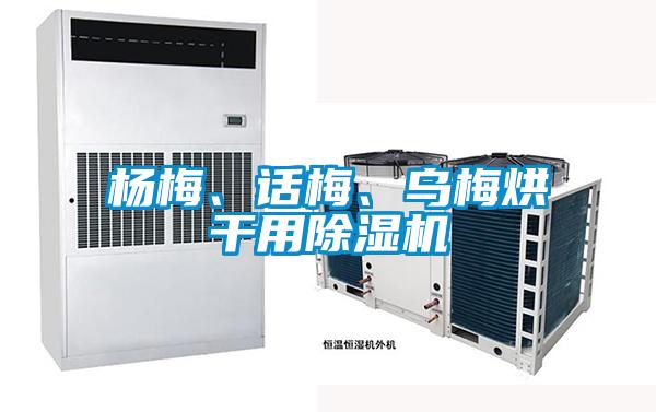 楊梅、話梅、烏梅烘干用除濕機