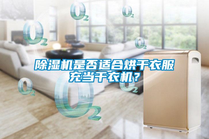 除濕機是否適合烘干衣服充當干衣機？