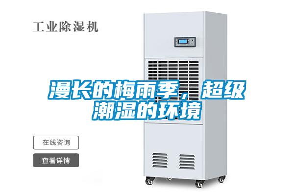 漫長的梅雨季，超級潮濕的環境
