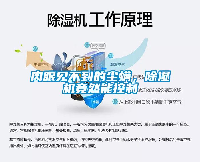肉眼見不到的塵螨，除濕機竟然能控制