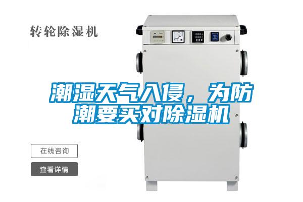 潮濕天氣入侵，為防潮要買對除濕機