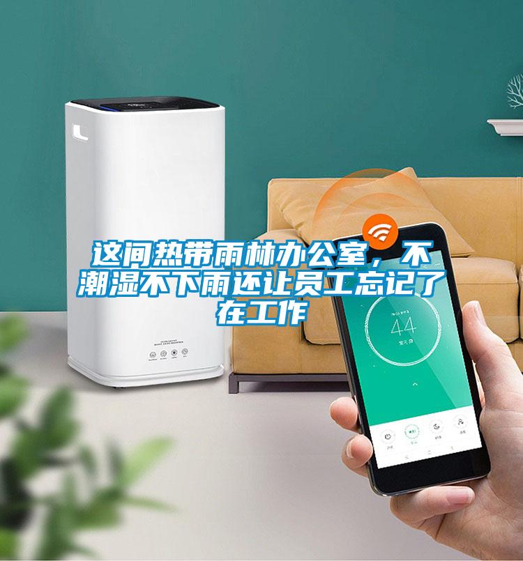 這間熱帶雨林辦公室，不潮濕不下雨還讓員工忘記了在工作