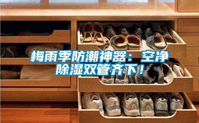 梅雨季防潮神器：空凈除濕雙管齊下！