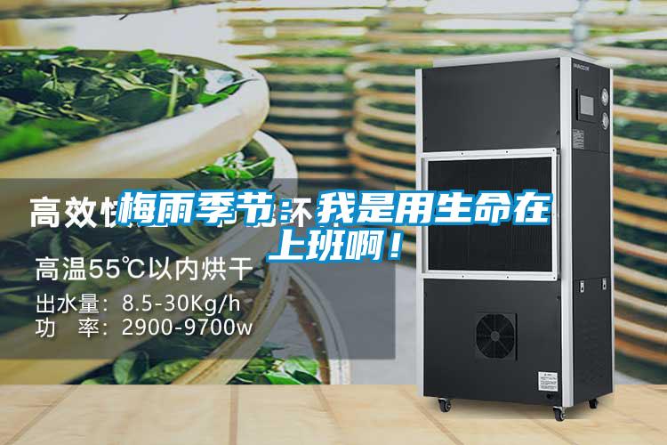 梅雨季節：我是用生命在上班啊！