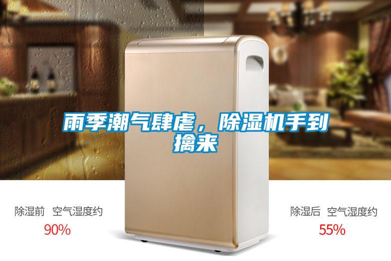 雨季潮氣肆虐，除濕機手到擒來