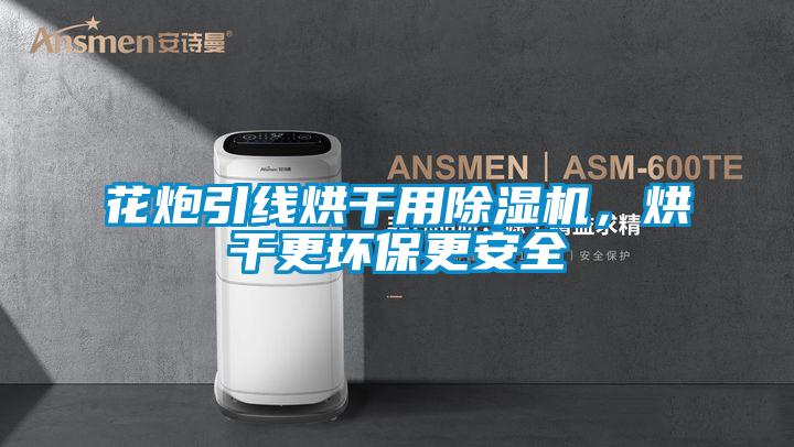 花炮引線烘干用除濕機，烘干更環保更安全