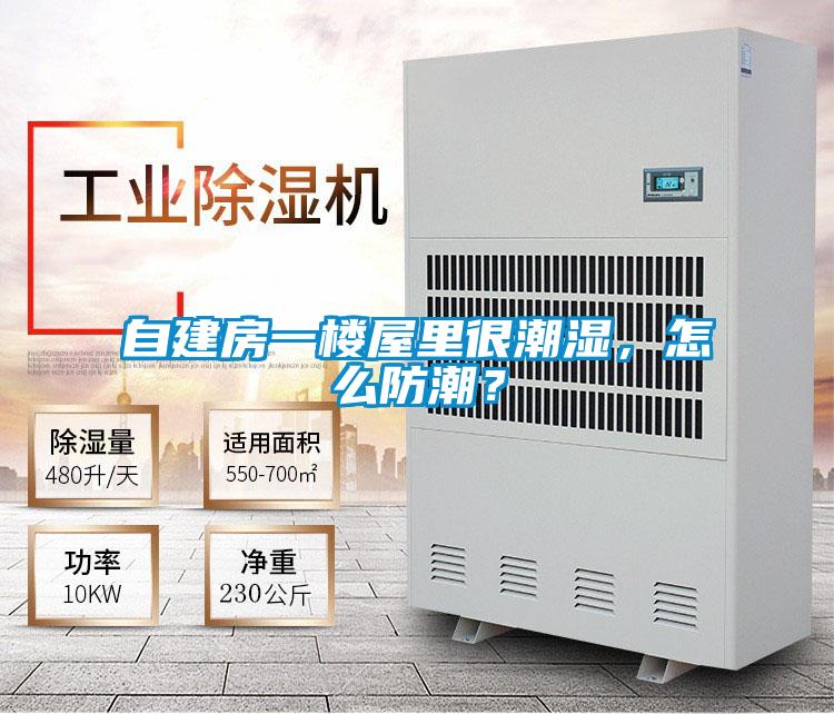 自建房一樓屋里很潮濕，怎么防潮？
