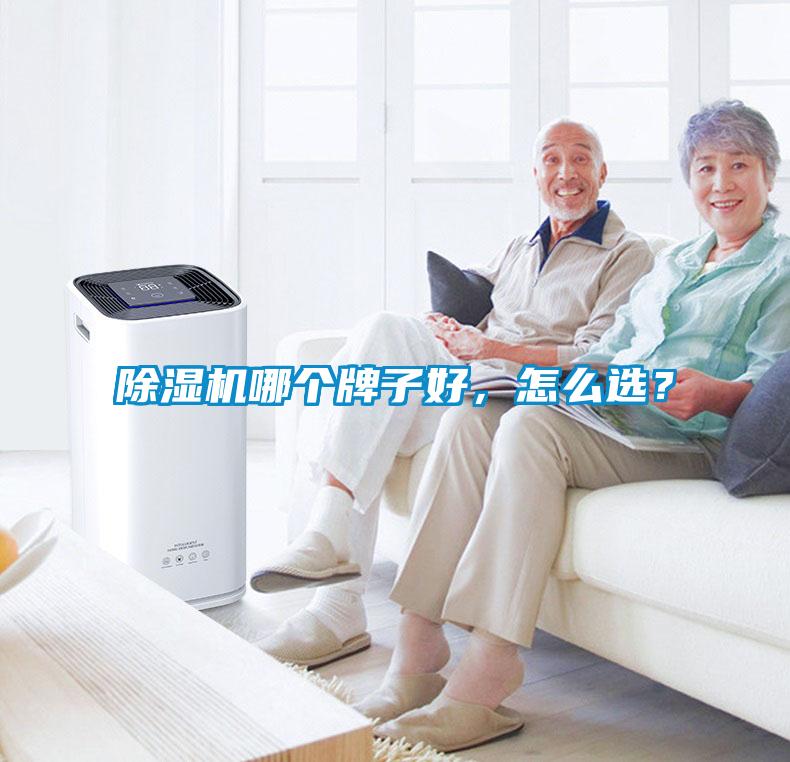 除濕機哪個牌子好，怎么選？