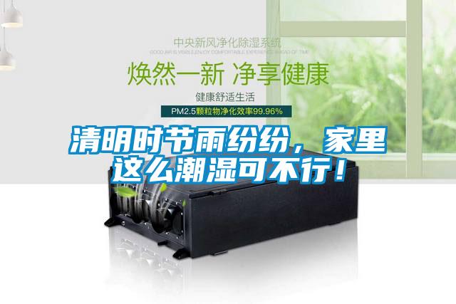清明時節雨紛紛，家里這么潮濕可不行！